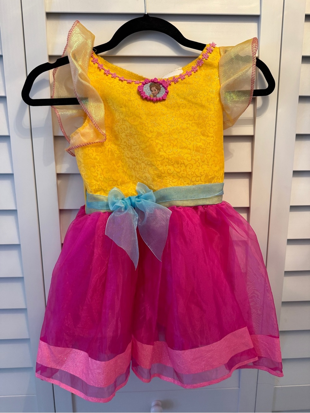 Fancy Nancy dress up Costume